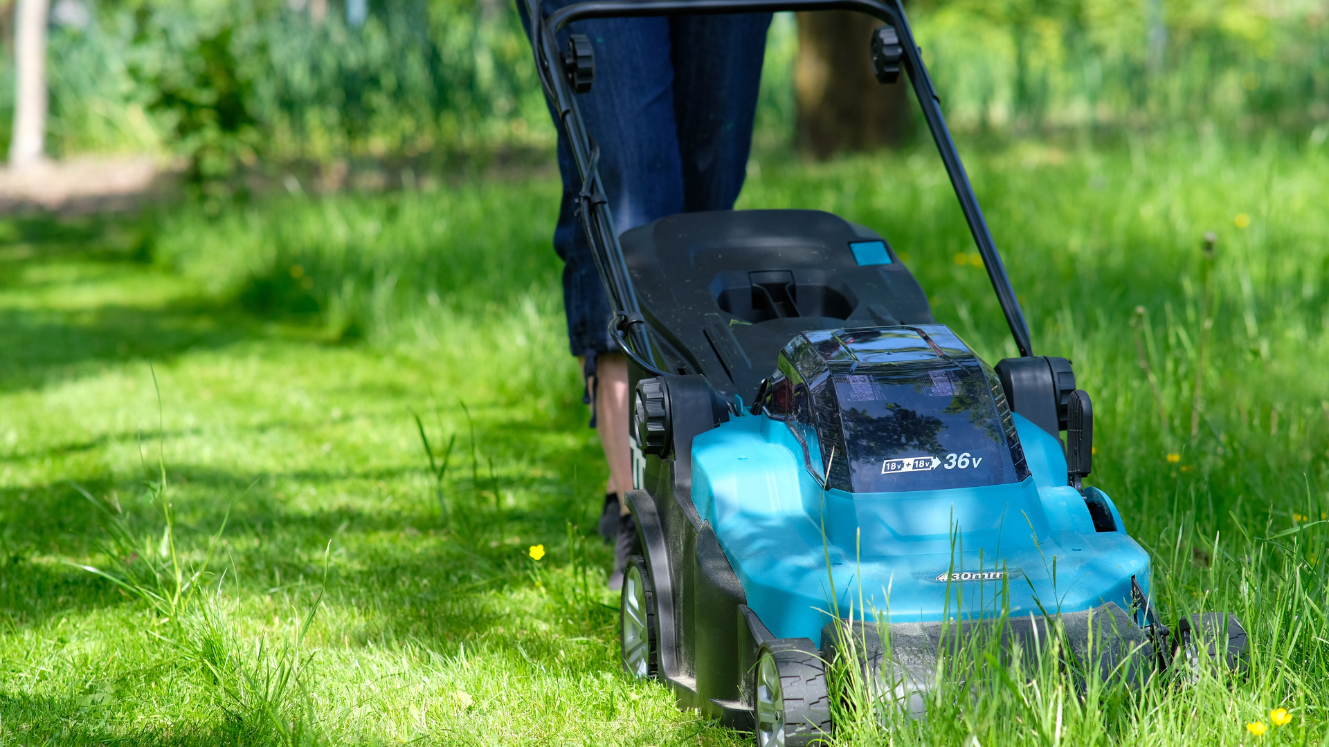 a person is mowing a lush green lawn with a lawn mower .